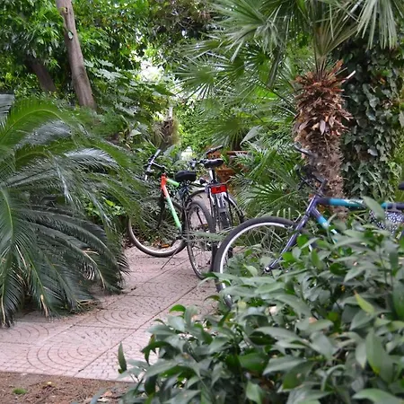 Relax Al Mare- Bike & * Arma di Taggia